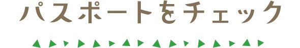 パスポートをチェック