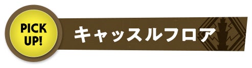 キャッスルフロア PICK UP