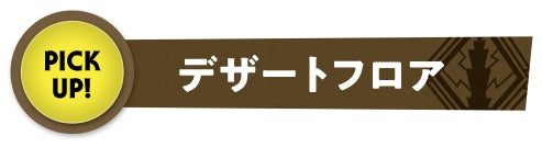 デザートフロア PICK UP