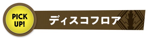 ディスコフロア PICK UP