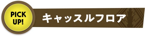キャッスルフロア