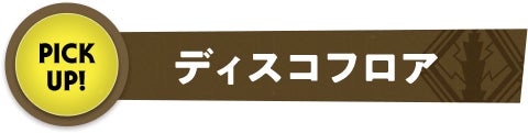 ディスコフロア