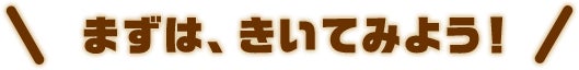 まずは、きいてみよう！