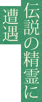 世紀の騎乗に成功