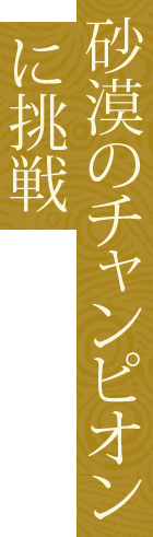 砂漠のチャンピオンに挑戦