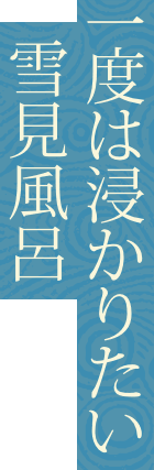 一度は浸かりたい雪見風呂